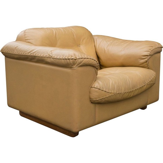 Image 1 of Vintage Leder Sessel De Sede Schweiz 1960s