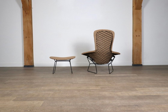 Image 1 of Early Edition Bird Chair mit Ottomane von Harry Bertoia für Knoll International, Italien 1960er Jahre