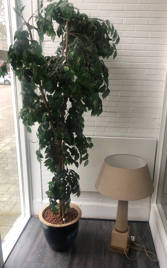 Image 1 of Porta Romana Tischlampe