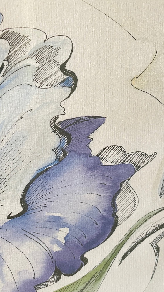 Image 1 of Irisblume auf Papier Rahmen Holz Vintage