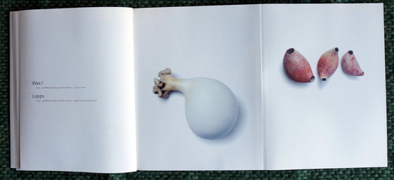 Image 1 of Begegnung mit Simone van Bakel