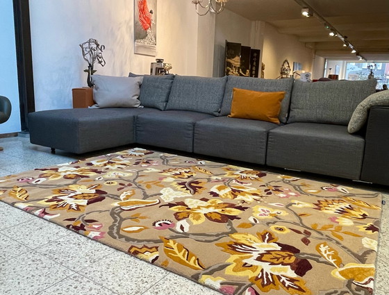 Image 1 of Brink & Campman Sanderson Teppich