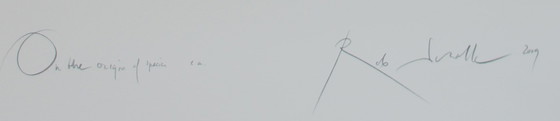 Image 1 of Rob Scholte - Siebdruck: Vom Original der Arten - 2009