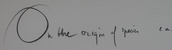 Image 1 of Rob Scholte - Siebdruck: Vom Original der Arten - 2009