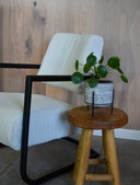 RiDesign Sessel Teddy