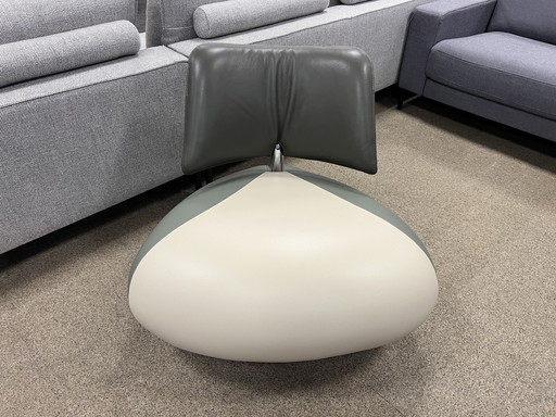 Leolux Pallone Sessel grünes Leder