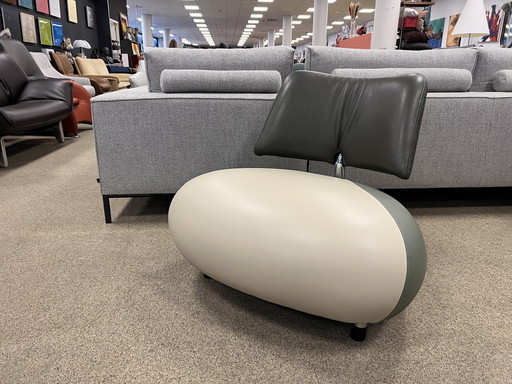 Leolux Pallone Sessel grünes Leder