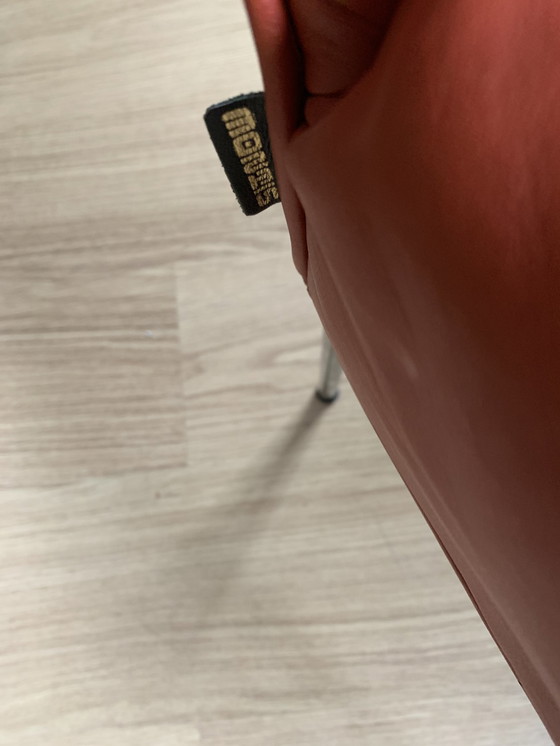 Image 1 of 4x Montis Face Esszimmerstühle