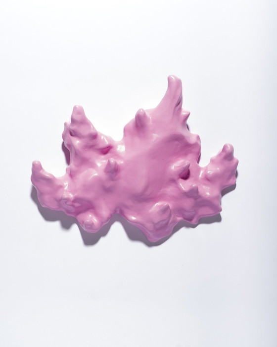 Image 1 of Gert Wessels – Rosa Saker