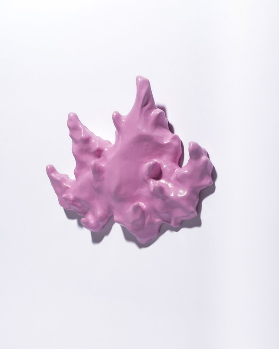 Image 1 of Gert Wessels – Rosa Saker