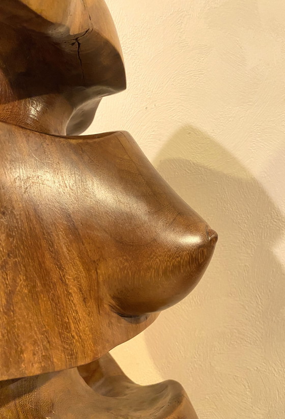 Image 1 of Wim van Mossevelde - Bauchbauch