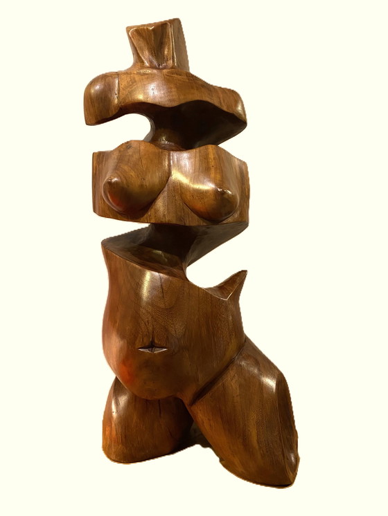 Image 1 of Wim van Mossevelde - Bauchbauch