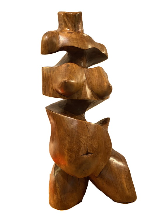 Image 1 of Wim van Mossevelde - Bauchbauch