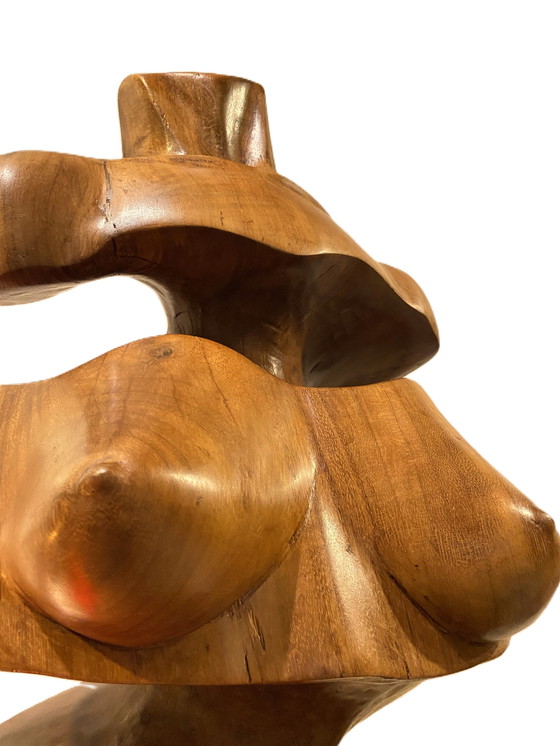 Image 1 of Wim van Mossevelde - Bauchbauch