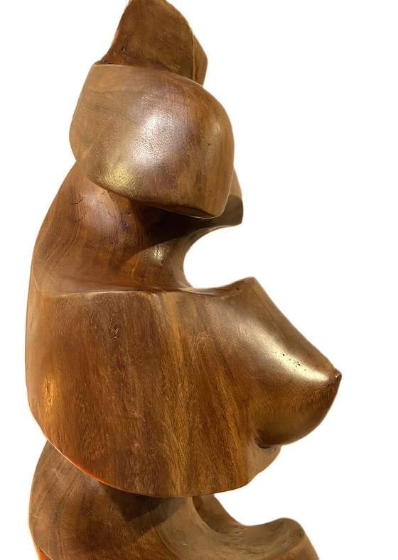 Image 1 of Wim van Mossevelde - Bauchbauch