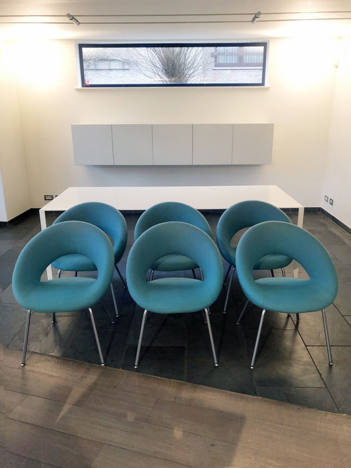 6X Artifort Nina, Design Sessel