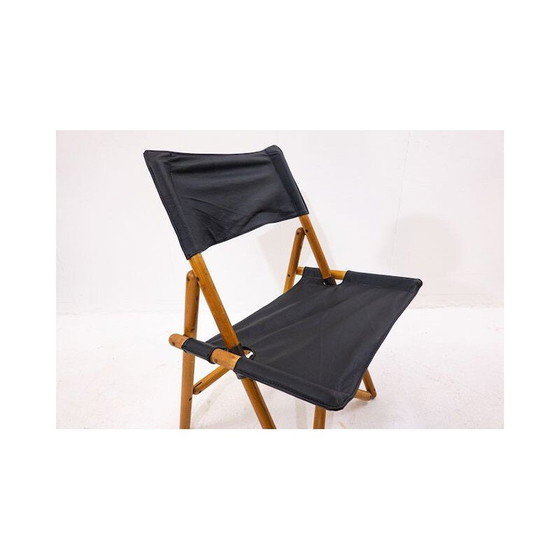 Image 1 of Paar Vintage-Klappstühle von Sergio Asti für Zanotta, Italien 1969