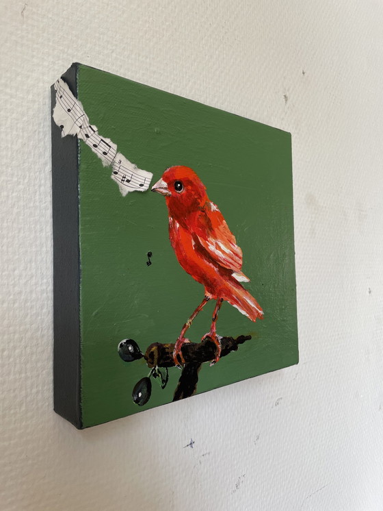 Image 1 of Porträt des Orangenkanarienvogels