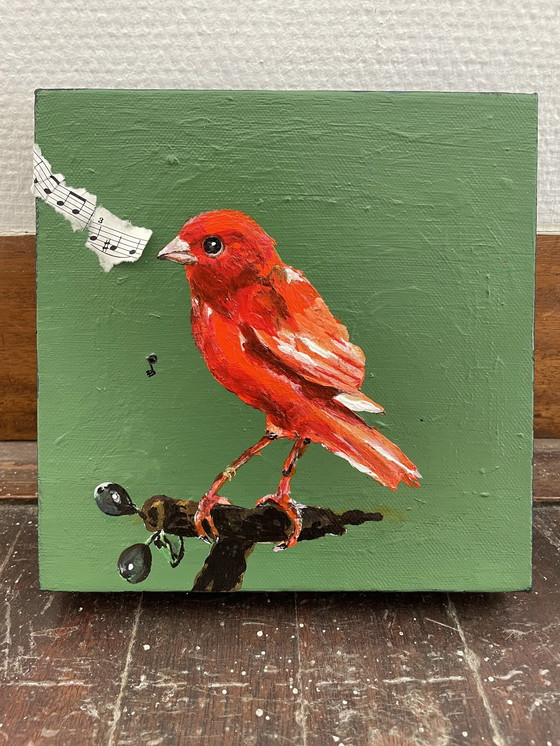 Image 1 of Porträt des Orangenkanarienvogels