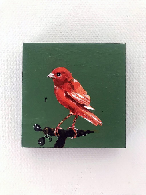 Porträt des Orangenkanarienvogels