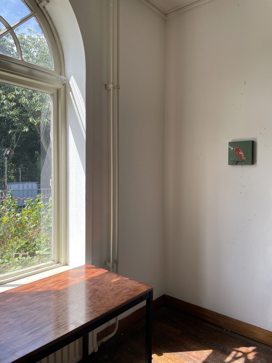 Image 1 of Porträt des Orangenkanarienvogels