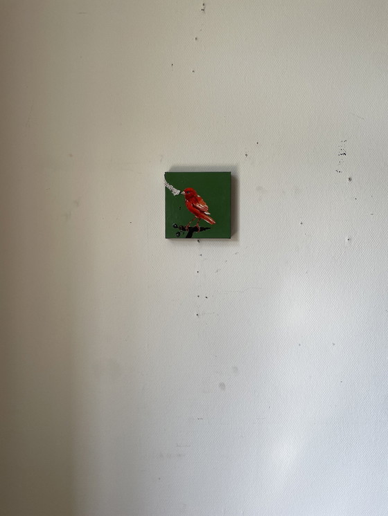 Image 1 of Porträt des Orangenkanarienvogels