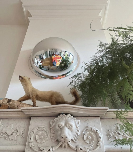 Image 1 of Panoramaspiegel