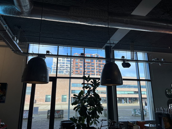 Image 1 of Aviator Toplicht