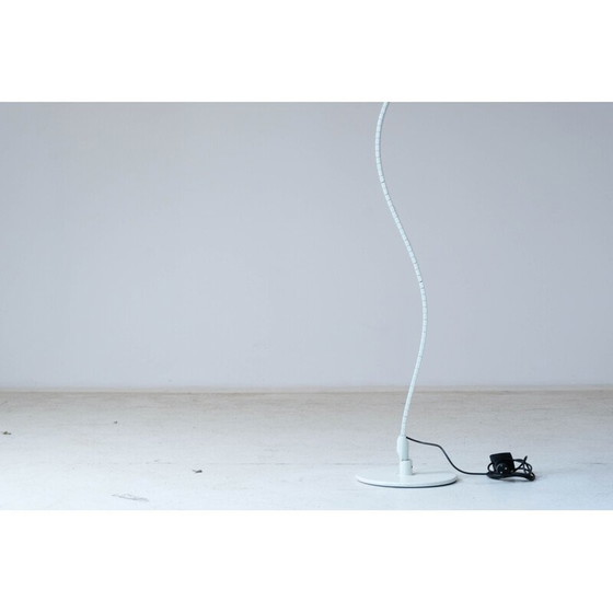 Image 1 of Klassische Wirbellampe von Martinelli, 1970