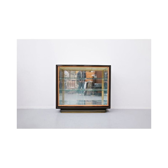 Image 1 of Vintage Vitrinenschrank von vittorio dassi 1950er Jahre