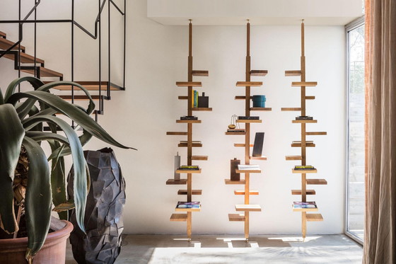 Image 1 of Claudio Bitetti De Mogg Adelaide Holz-Bücherregal