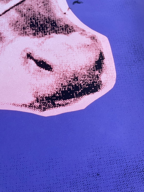 Image 1 of Andy Warhol nach (1928-1987), Cow, 1976 (pink&purple), Copyright 2013 The Andy Warhol Foundation for Visual Arts, Inc. Gedruckt