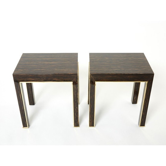 Image 1 of Ein Paar Beistelltische aus Palmenholz und Messing von Romeo Paris, 1970
