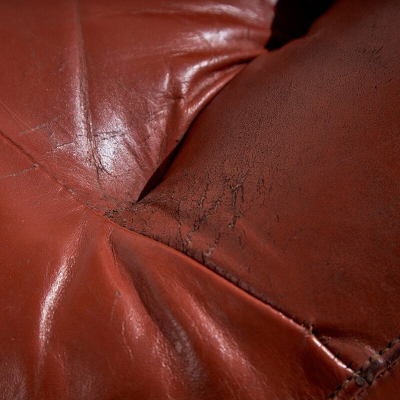 Image 1 of Vintage-Sessel aus brasilianischem Leder von Jean Gillon für Probel, 1960