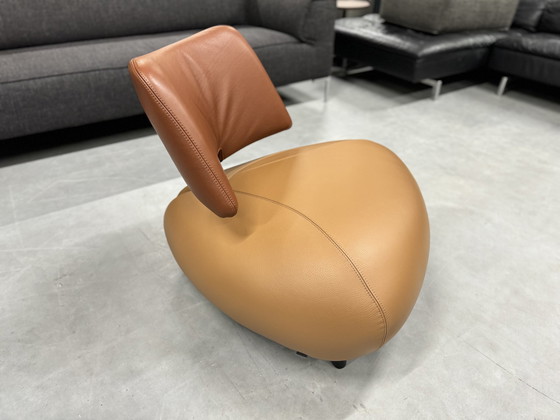 Image 1 of Leolux Pallone Armchair Lederdesignstuhl Braun