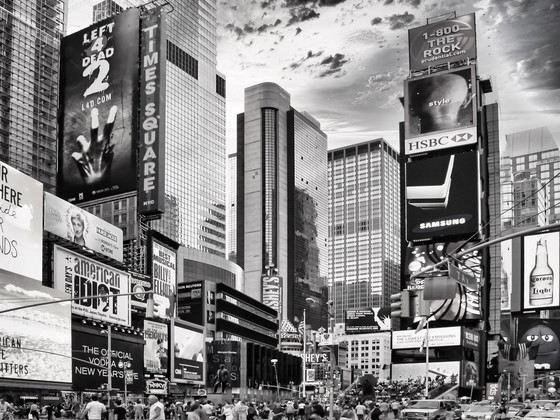 Image 1 of Fabian Kimmel - Times Square 2010