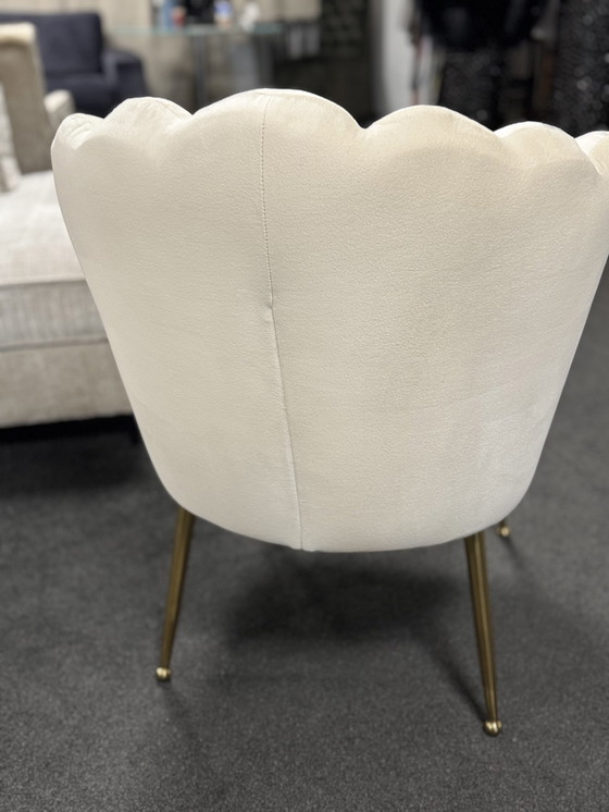 Image 1 of 4X Bologna (Atreve)