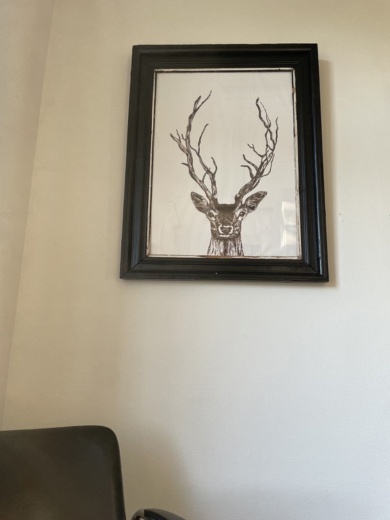 Image 1 of Poster Hirsche