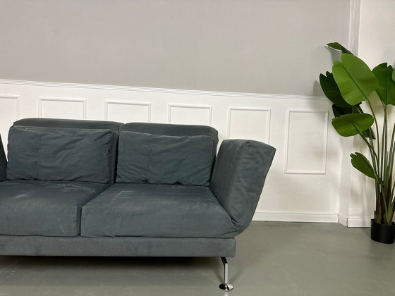 Image 1 of Brühl Moule Sofa Velour Schlafsofa Designer Ausstellungsstück