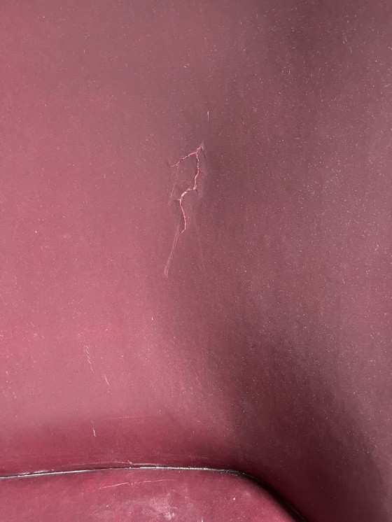 Image 1 of Artifort Austernaufbereiter