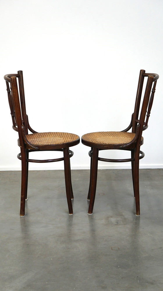 Image 1 of 4 X Thonet Bistrostuhl mit mattiertem Sitz