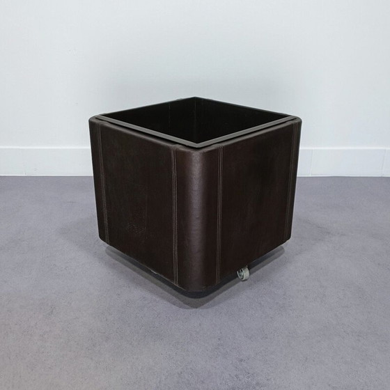 Image 1 of Pflanzgefäß aus Leder Serie Ds47 von De Sede