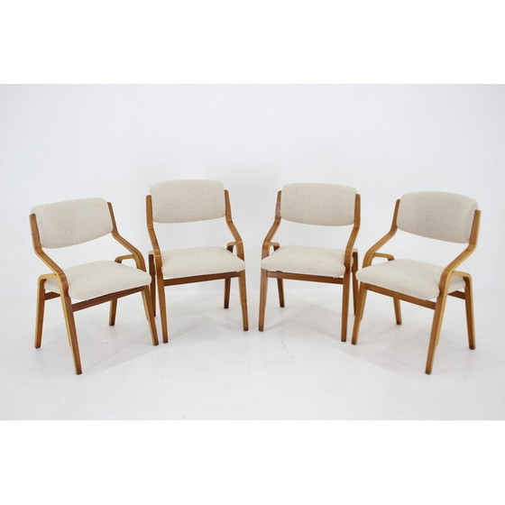 Image 1 of Satz von 4 Stühlen aus Bugholz und Bouclé-Stoff von Ludvík Volák für Dřevopodnik Holešov, Tschechoslowakei 1970er Jahre