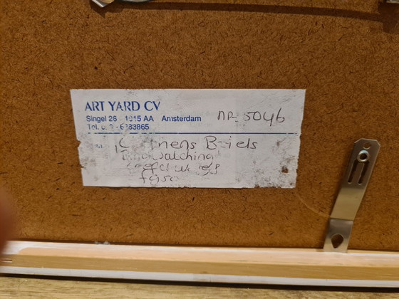 Image 1 of Clemens Briels - Vogelbeobachtung in der Nähe von San Juan