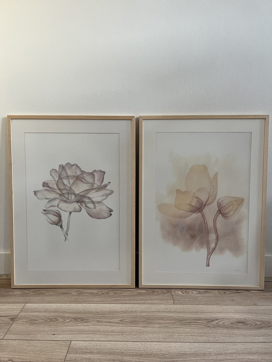 Image 1 of Fine Art Print Gerahmt: Rose