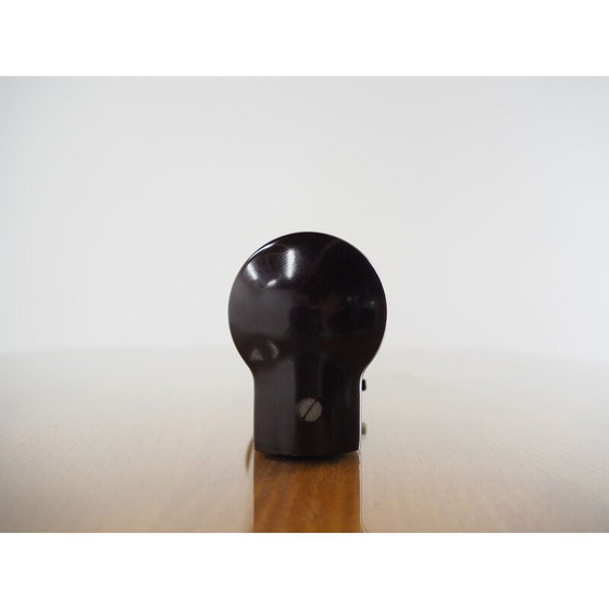 Image 1 of Vintage Wandlampe aus Bakelit und Art Deco Glas, Tschechoslowakei 1940