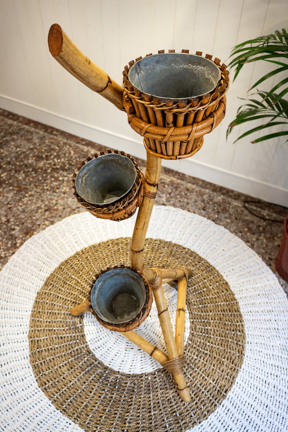 Image 1 of Vintage Rattan-Pflanzenhalter