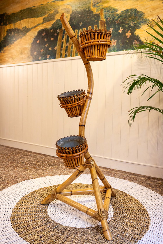 Image 1 of Vintage Rattan-Pflanzenhalter