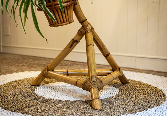 Image 1 of Vintage Rattan-Pflanzenhalter