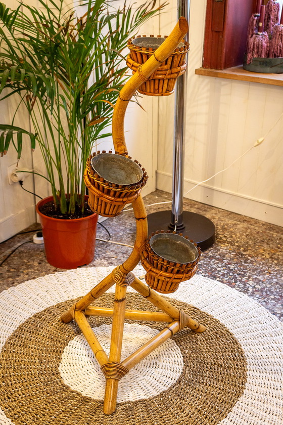 Image 1 of Vintage Rattan-Pflanzenhalter